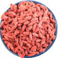 baies de goji organiques de vente d&#39;hote 5kg usine de ningxia